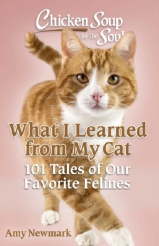 Image of Chicken Soup for the Soul: What I Learned from My Cat : 101 Tales of Our Favorite Felines Paperback / softback