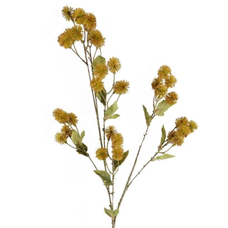 Image of Leaf 85cm Craspedia Stem Yellow Artificial