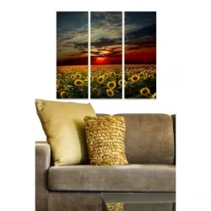 Image of MDF92272930 Multicolor Decorative MDF Painting (3 Pieces)