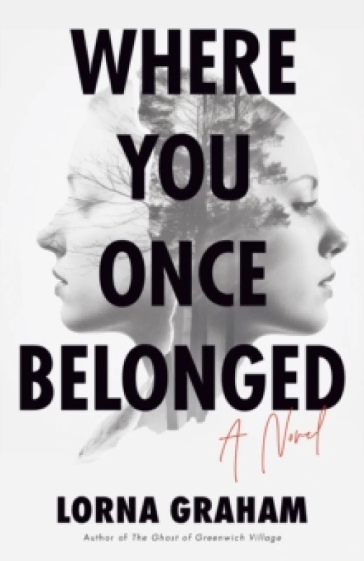 Image of Where You Once Belonged : A Novel Paperback / softback