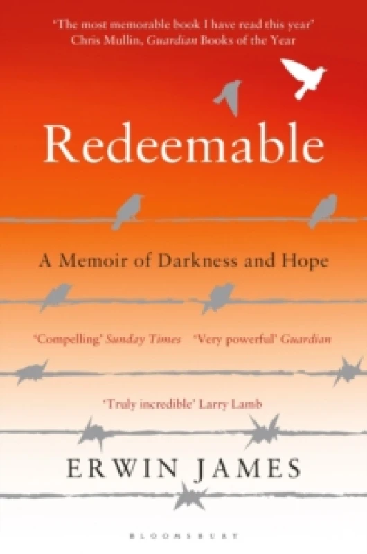 Image of Redeemable : A Memoir of Darkness and Hope Paperback / softback