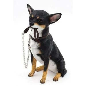 Image of Walkies Chihuahua Sitting By Leonardo