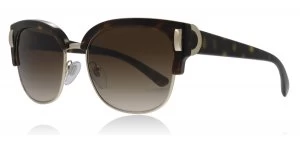 Image of Bvlgari BV8189 Sunglasses Dark Havana/Pale Gold 504/13 55mm