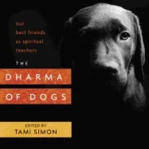 Image of dharma of dogs our best friends as spiritual teachers