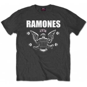 Image of Ramones 1974 Eagle Mens Charcoal T Shirt: X Large