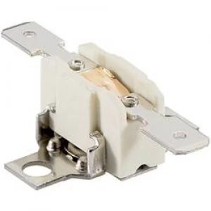 Image of Thermal fuse 170 C 16 A 230 V AC L x W x H 45 x 30 x 12.3 mm