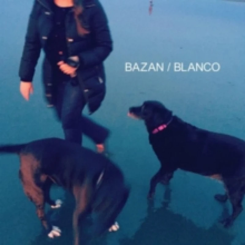 Image of David Bazan - Blanco [CD / Album] Music CDs - Music CD