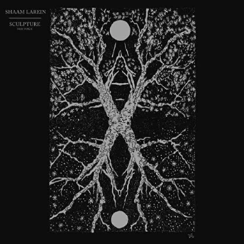 Image of Shaam Larein - Sculpture CD