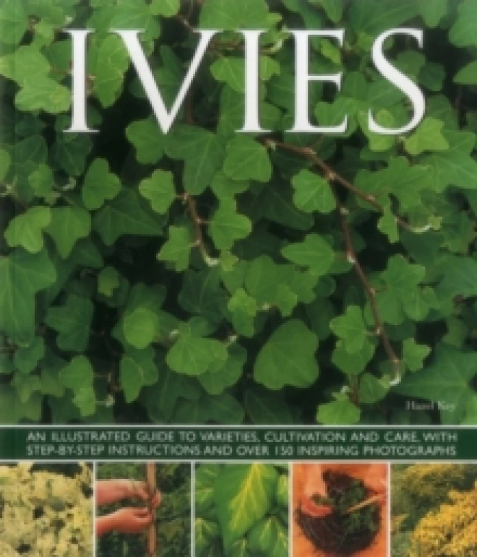 Image of Ivies Paperback / softback