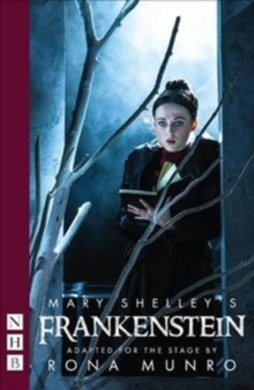 Image of Mary Shelley's Frankenstein Paperback / softback
