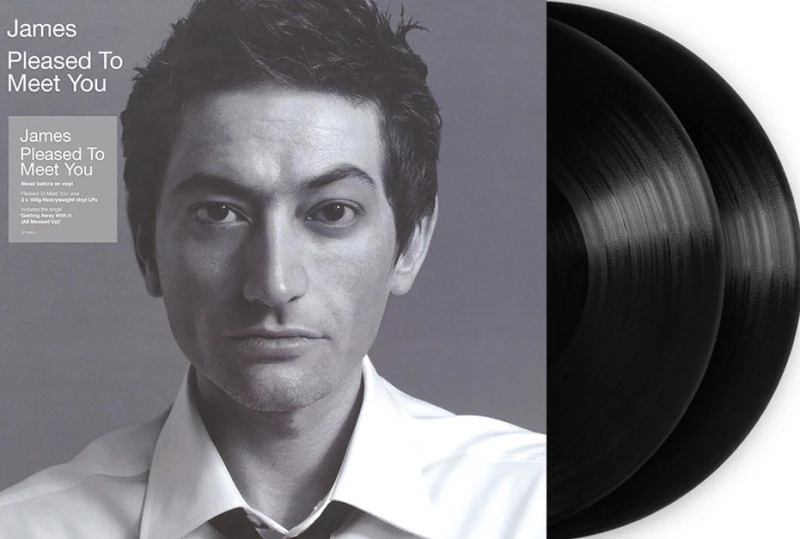 Image of Pleased to Meet You Vinyl