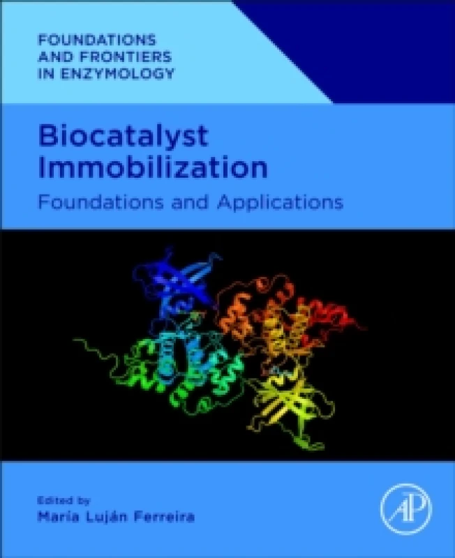 Image of Biocatalyst Immobilization : Foundations and Applications Paperback / softback