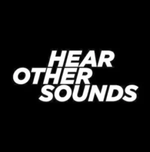 Image of HOS015 by Various Artists Vinyl Album