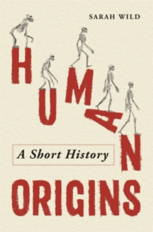 Image of Human Origins : A Short History Hardback