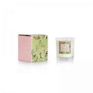 Image of Oasis Leighton Geranium and Tuberose Boxed Candle