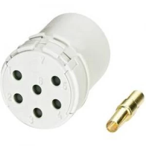 Image of Coninvers 1599343 RC 12S1N8D0000