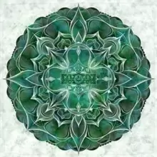 Image of Newborn Mind