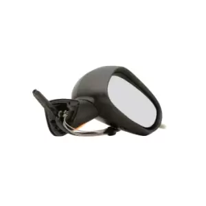 Image of TYC Wing mirror 328-0095 Outside mirror,Side mirror RENAULT,MODUS / GRAND MODUS (F/JP0_)