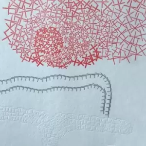 Image of The Nap by Baleine 3000 Vinyl Album