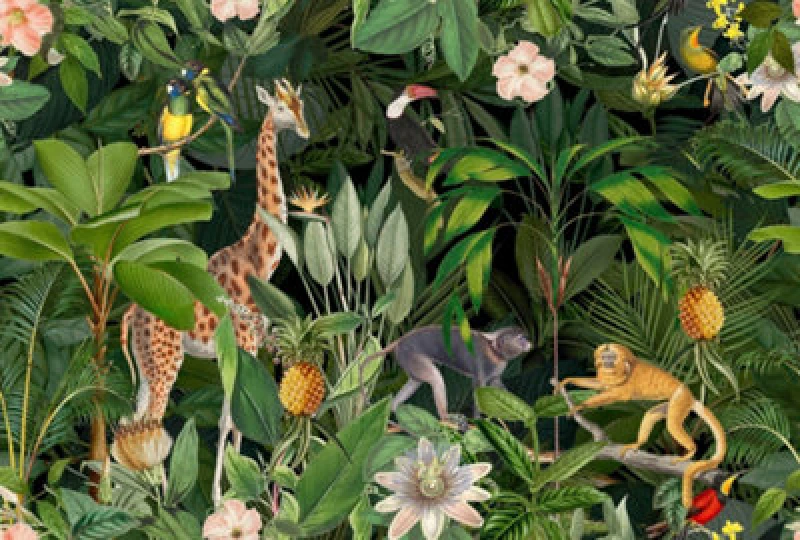 Image of As Creation Nostalgic Animals Digital Mural 400Cm X 270Cm