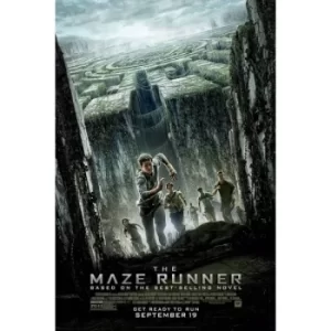 Image of The Maze Runner DVD