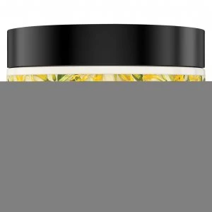 Image of Love Beauty and Planet 2 Minute Magic Masque 300ml