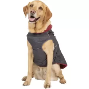 Image of Trespass Dog Hercules 2In1 Shock Absorbing Bungee Lead M - Back 17.7', Torso 29.5', Neck 17.7'