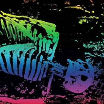 Image of Soaker - S / T Vinyl