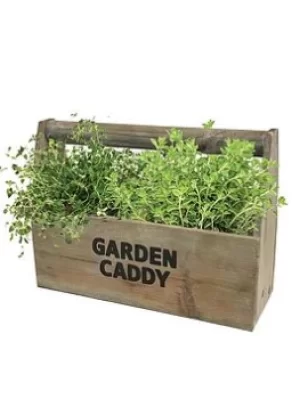Image of Wooden Garden Herb Caddy