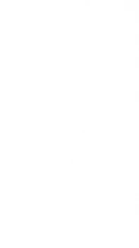 Image of Imperial ECOVAN 4S 185/80 R14 102R