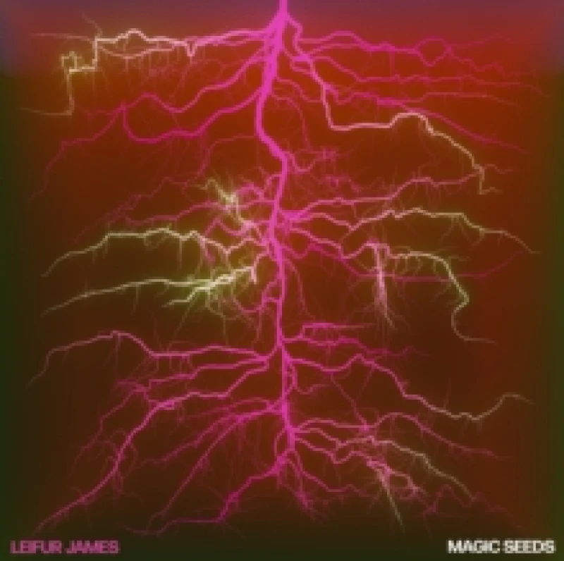 Image of Magic Seeds Vinyl