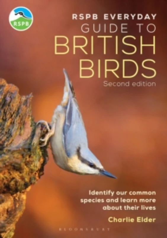 Image of RSPB Everyday Guide to British Birds : Identify our common species and learn more about their lives Paperback / softback