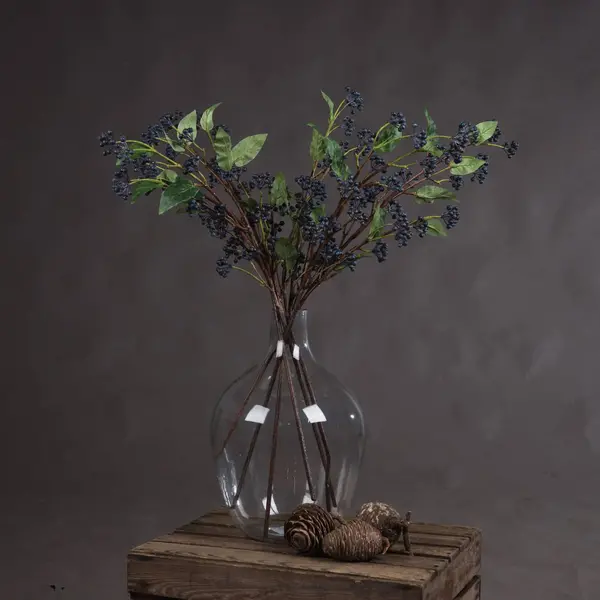 Image of Viburnum Berry