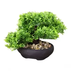 Image of Eastern Faux Bonsai Tree in Boxwood Style