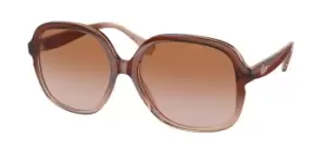 Image of Ralph by Ralph Lauren Sunglasses RA5284 598113