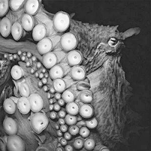 Image of Deadweight by Skein CD Album