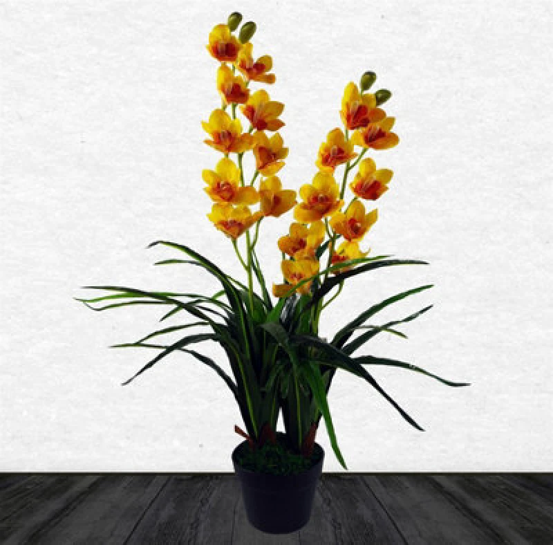 Image of Leaf 90cm Yellow Flower Orchid Plant Yellow unisex