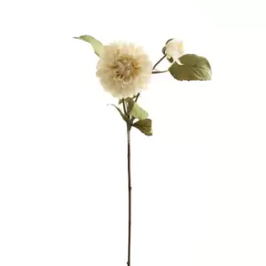 Image of White Dahlia Stem