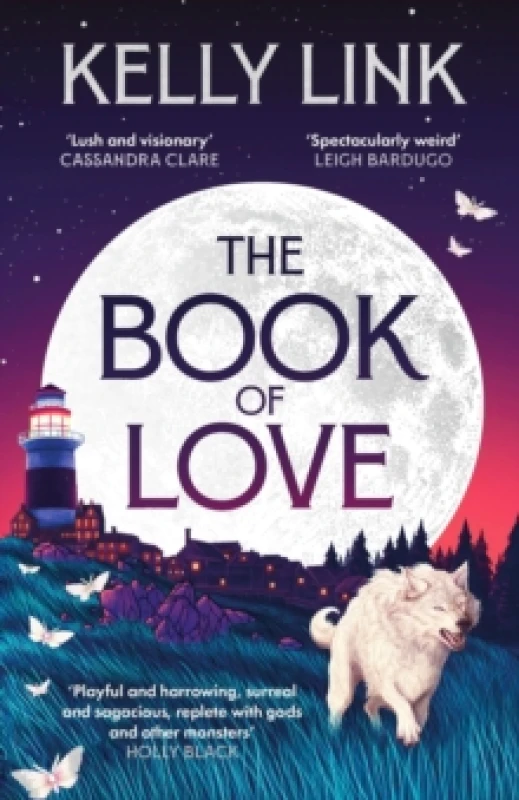 Image of The Book of Love Paperback / softback