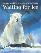 Image of waiting for ice