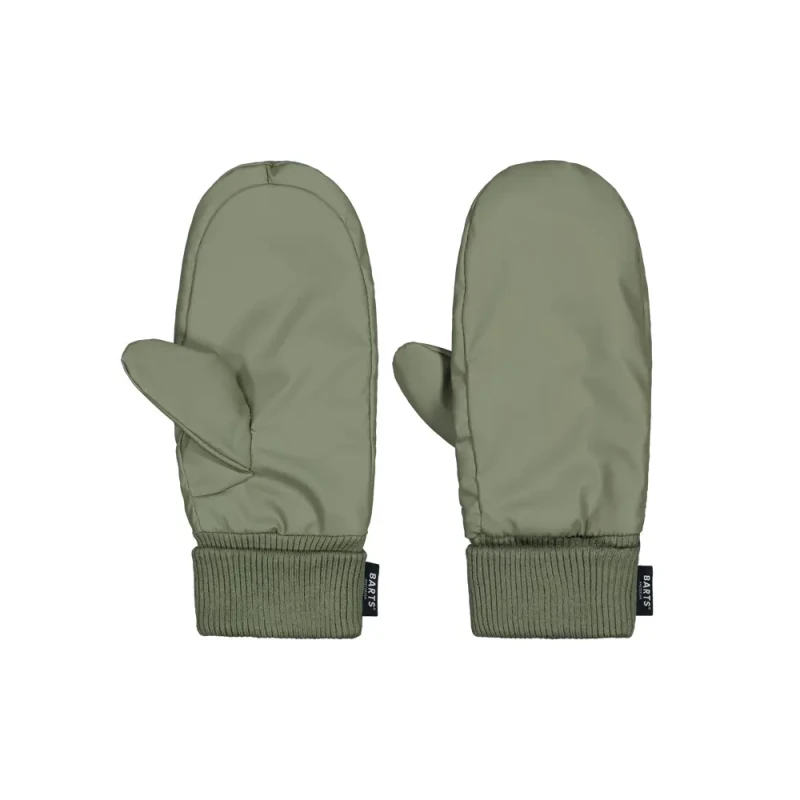 Image of Barts Womens mittens Barts Alyssie Vert Female TU