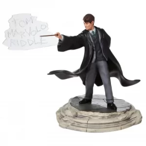 Image of Wizarding World Of Harry Potter Tom Riddle Figurine