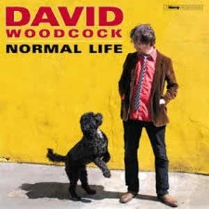 Image of David Woodcock - Normal Life Vinyl