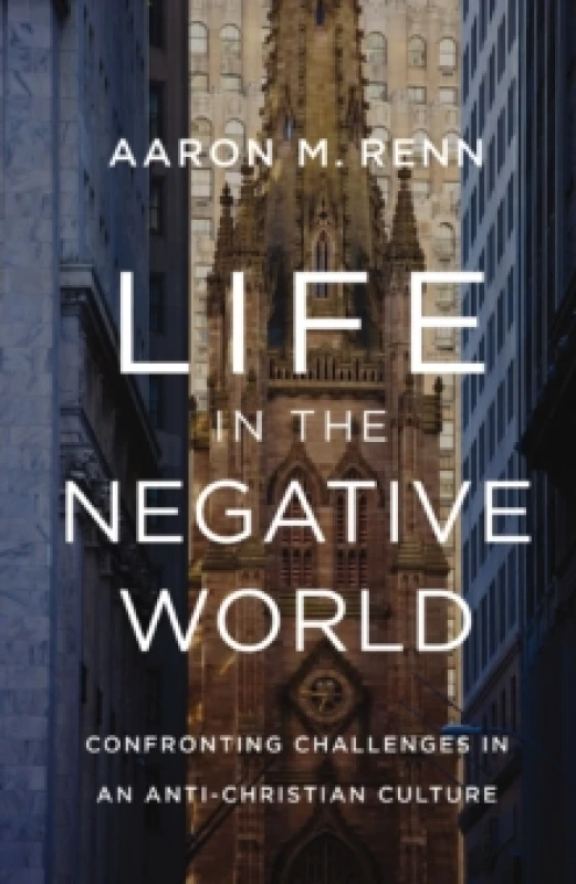 Image of Life in the Negative World. Hardback. By Aaron M Renn Books