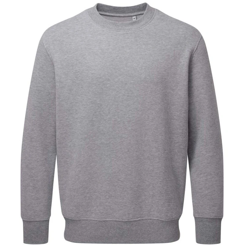Image of Anthem AM20 womens Sweatshirt in Grey