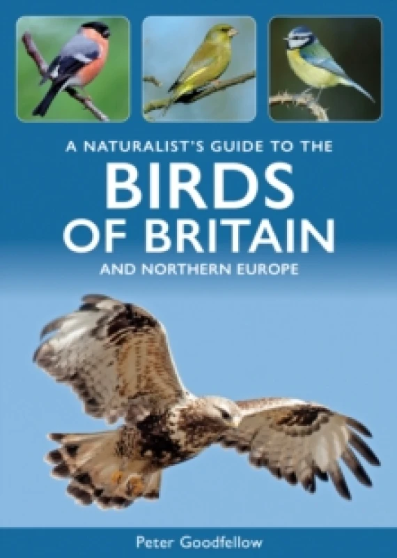Image of A Naturalist's Guide to the Birds of Britain and Northern Europe Paperback / softback