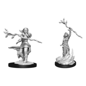 Image of D&D Nolzur's Marvelous Miniatures Unpainted Miniatures Human Druid Female Case (6)