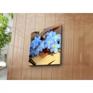 Image of 4545NAT-46 Multicolor Decorative Canvas Painting