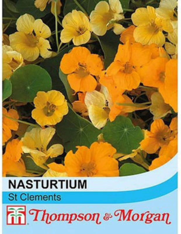 Image of Thompson & Morgan Nasturtium St Clements 1 Seed Packet (25 Seeds)