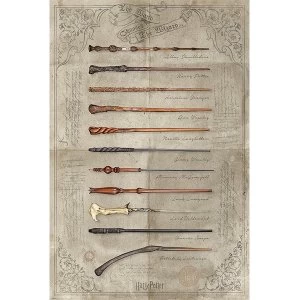 Image of Harry Potter - The Wand Chooses The Wizard Maxi Poster